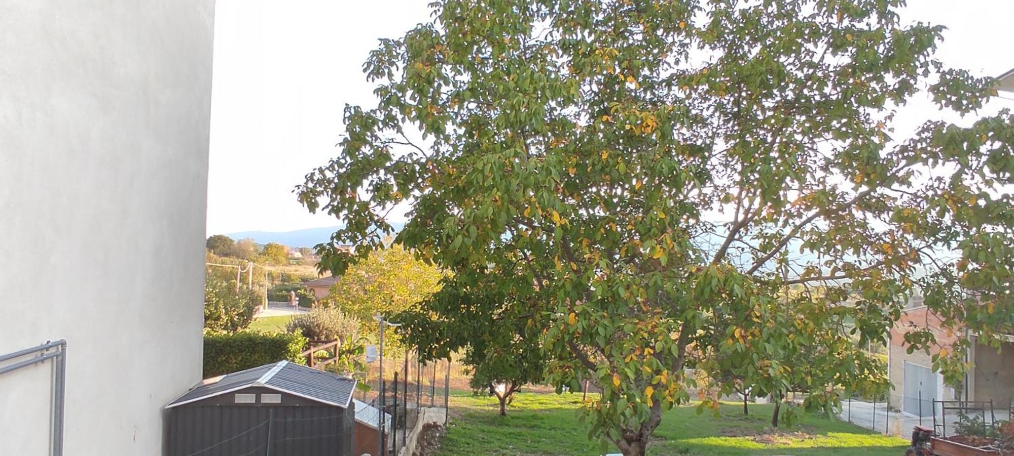 La Dimora Dei Sanniti Appartement Busso Buitenkant foto